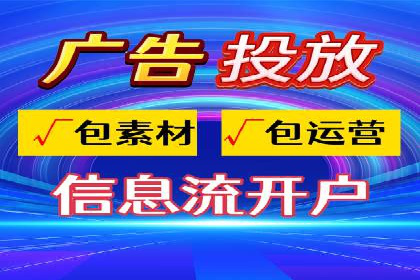 Sem优化公司案例：精准广告投放策略解析
